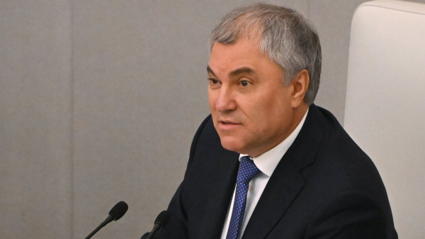 Володин: закон о борьбе с кибермошенничеством показал эффективность