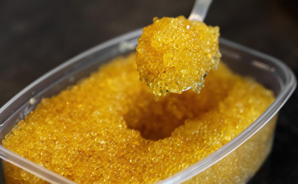 Продажи щучьей икры выросли в семь раз при снижении улова щуки